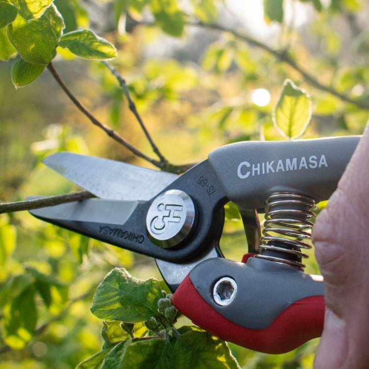 Chikamasa TSB-66B (grijs/geel) (extra lange messen) OP = OP (Per stuk)