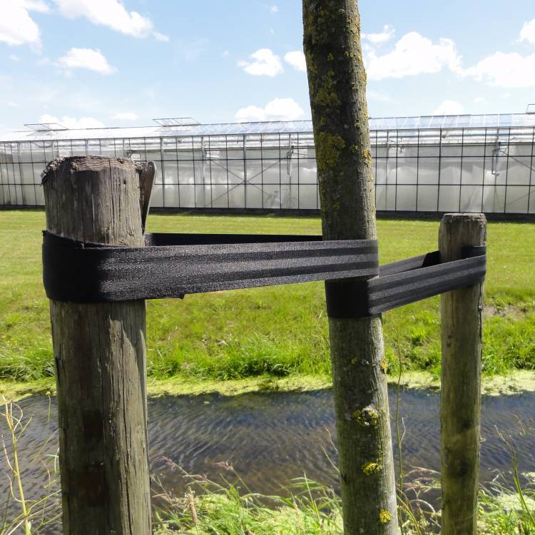 Horti Autogordelboomband 100 meter x 50 mm zwart (extra sterk) (Per rol)