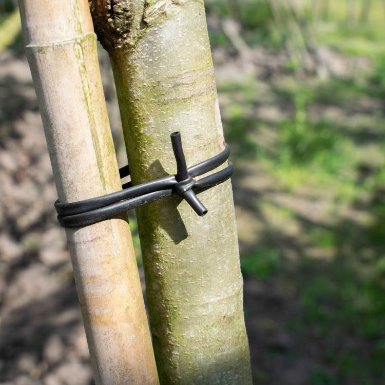 Horti Bindbuis 3 mm, zwart, 152 meter per bol (Per bol)