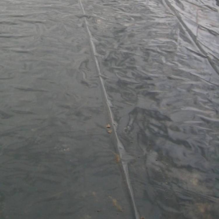 HortiFLEX Landbouwfolie 50 x 16 meter, 0,20 mm dik (800 m² per rol)