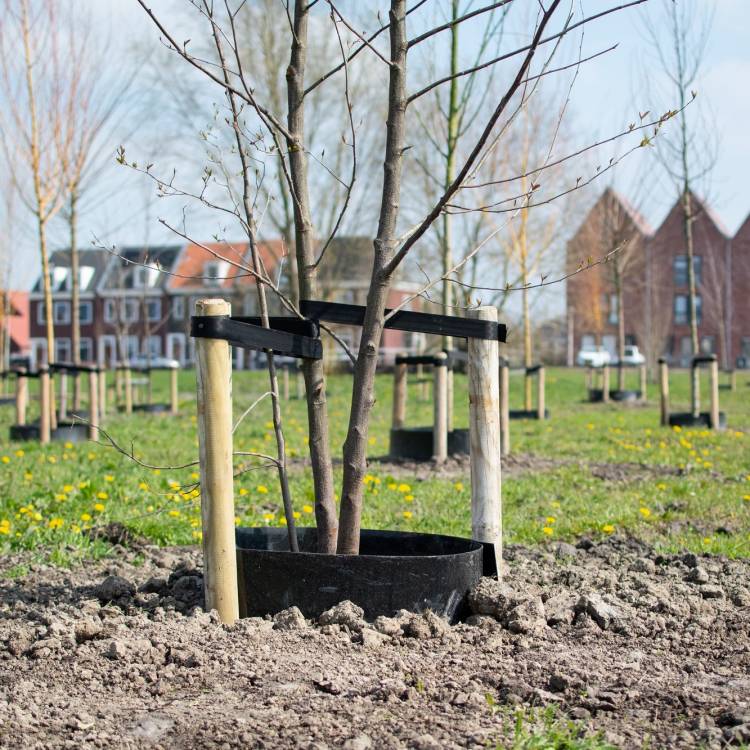 Arboleo gietrand HDPE zwart 1,50 mm 50 x 0,30 m (50 meter op een rol )