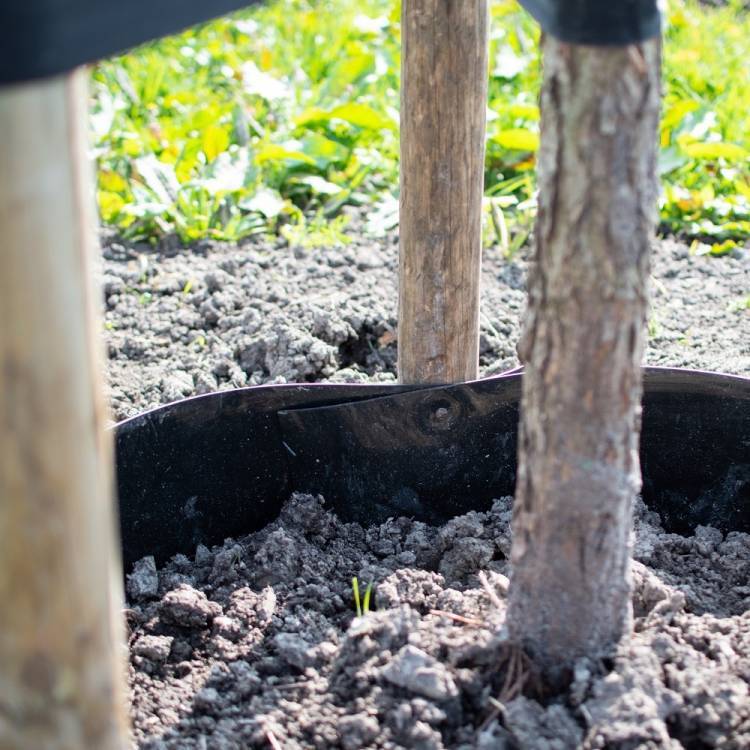 Arboleo gietrand HDPE zwart 2,00 mm 25 x 0,30 m (25 meter op een rol)