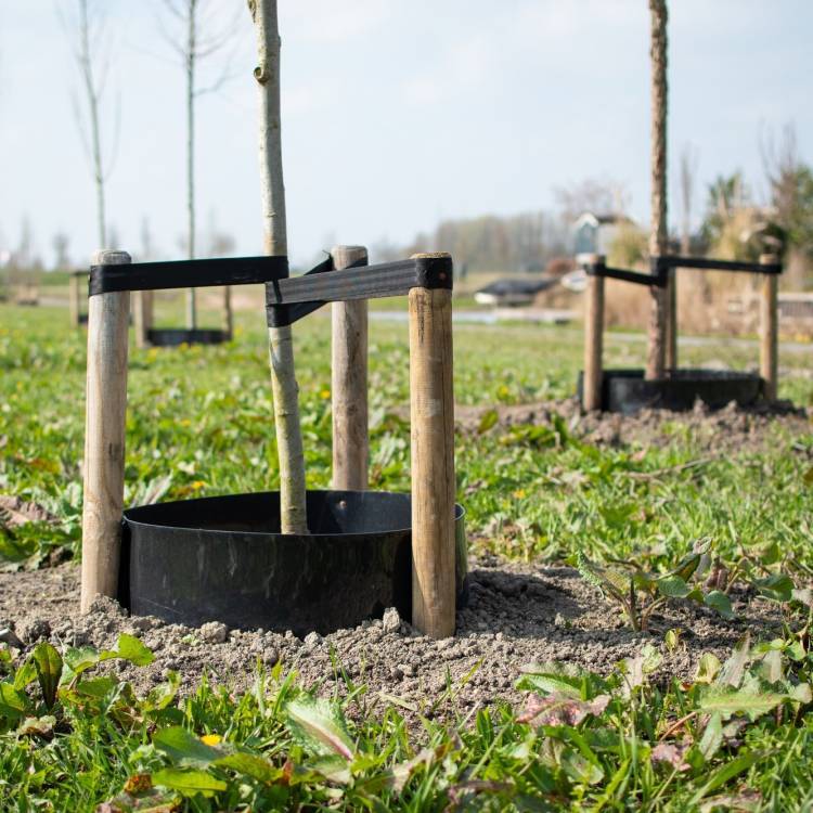 Arboleo gietrand HDPE zwart 2,00 mm 25 x 0,30 m (25 meter op een rol)