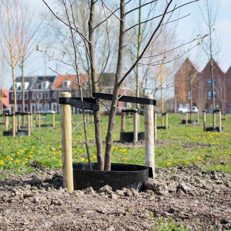 Arboleo gietrand HDPE zwart 2,00 mm 25 x 0,30 m (25 meter op een rol)