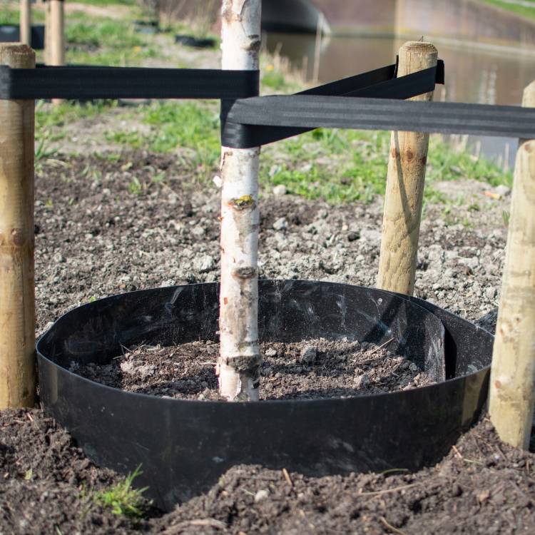 Arboleo gietrand HDPE zwart 2,00 mm 50 x 0,30 m (50 meter op een rol )