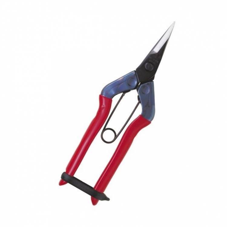 Chikamasa T 500 korte bek (Per stuk)