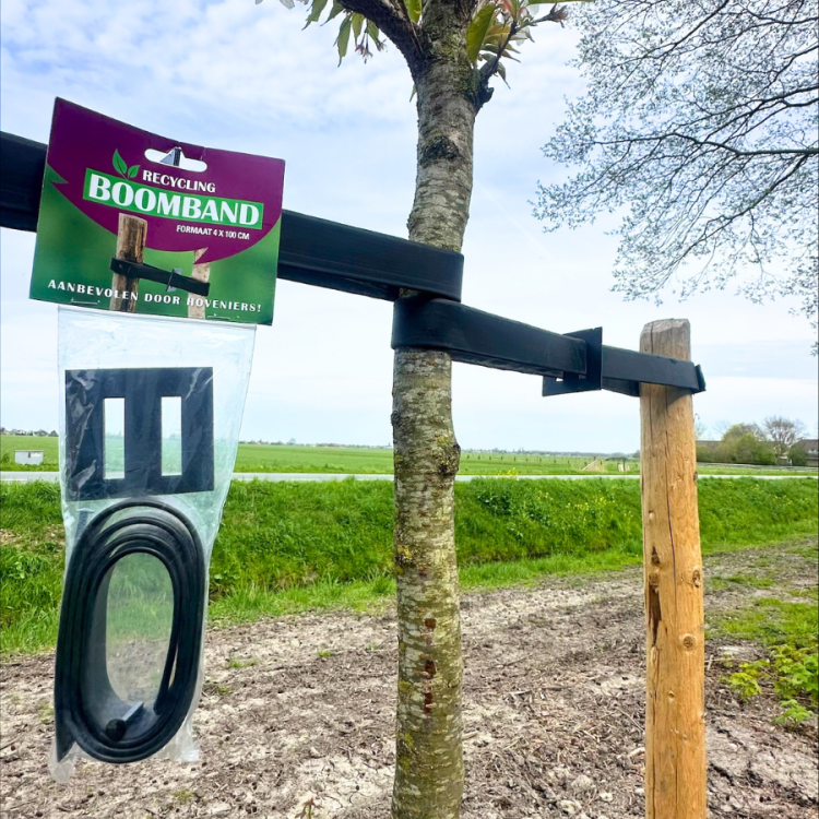 Horti zakje boomband 100 x 4cm + boomgesp en spijkers (1 per zakje)