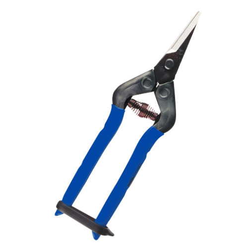 Chikamasa T-5C korte bek (blauw) (Per stuk)